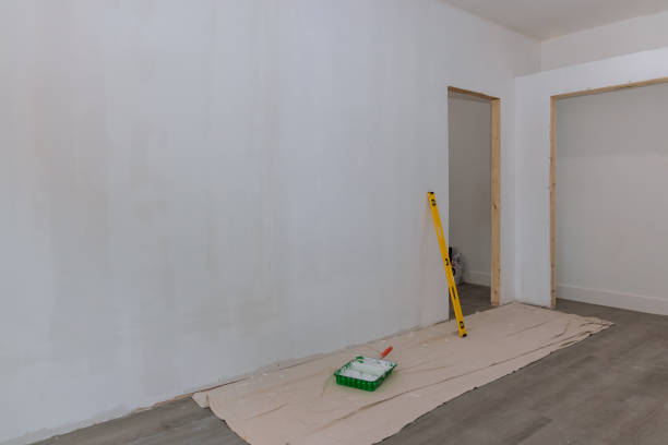 Best Black Mold Removal  in Manchester Center, VT
