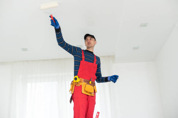 Best Mold Remediation for Vacation Homes  in Manchester Center, VT
