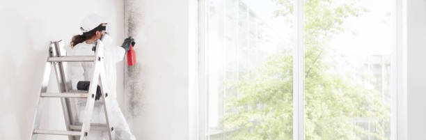 Mold Remediation for Vacation Homes in Manchester Center, VT