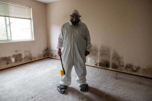 Best Water Damage & Mold Remediation  in Manchester Center, VT